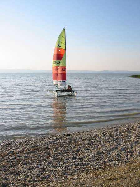 Img 0017