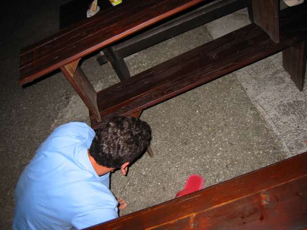 Img 3952