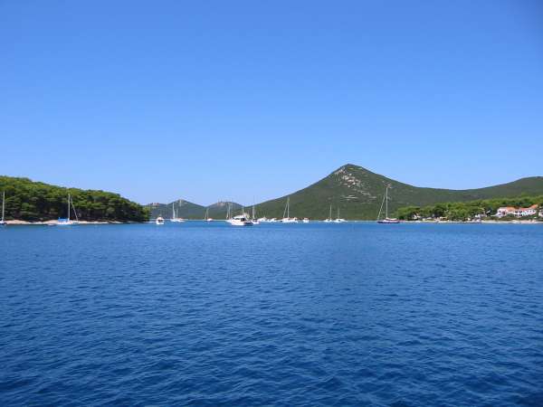 Img 4427