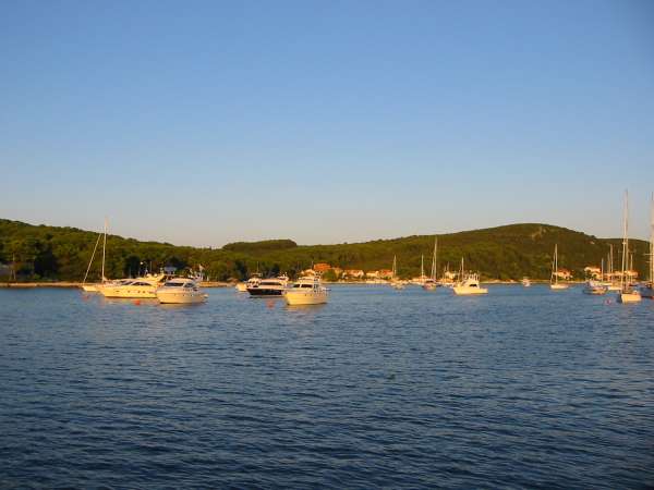 Img 4438