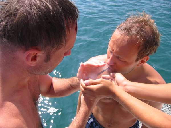 Img 4456