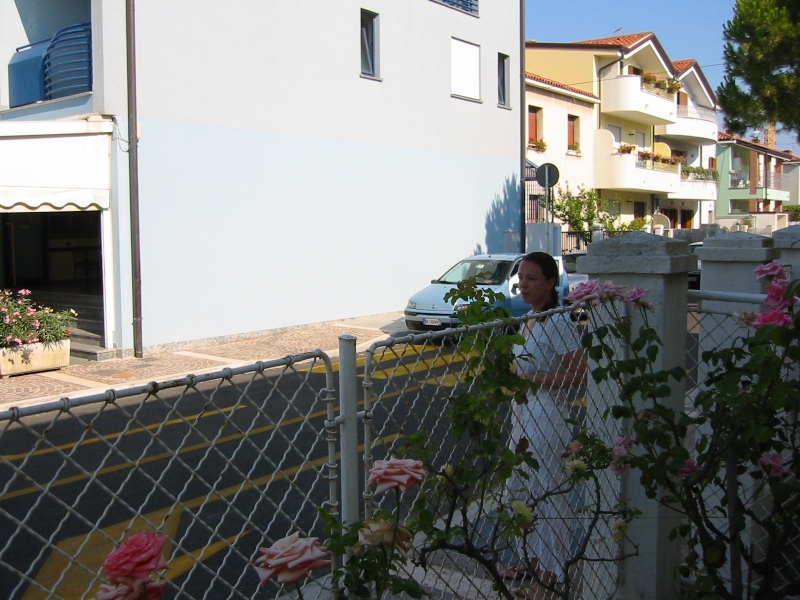 IMG 7517