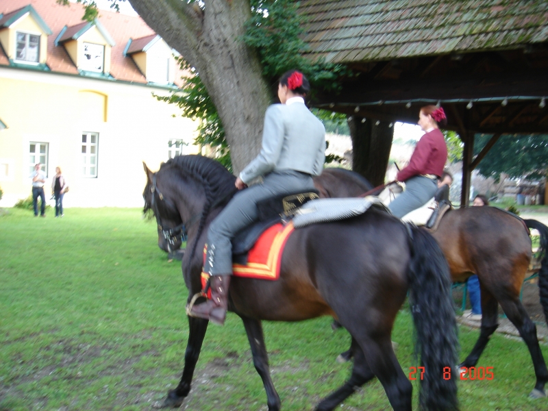 DSC00481