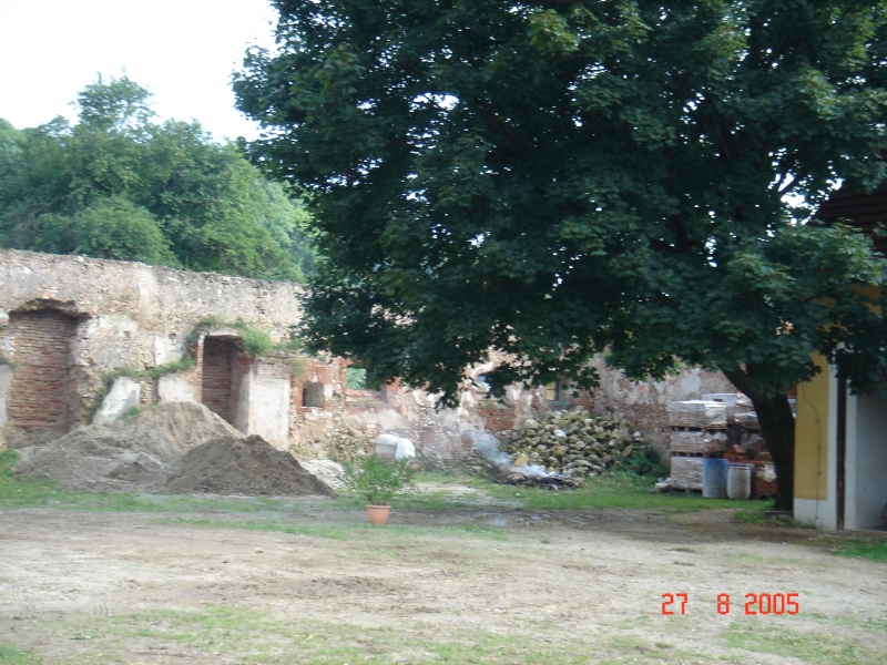 DSC00482