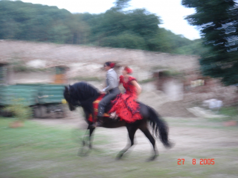 DSC00493