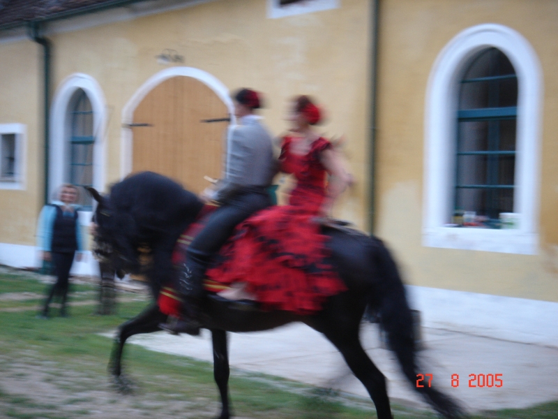 DSC00494