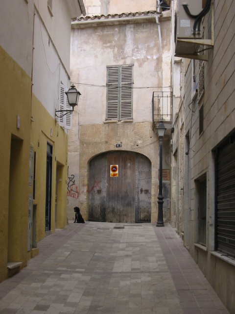 IMG 3065