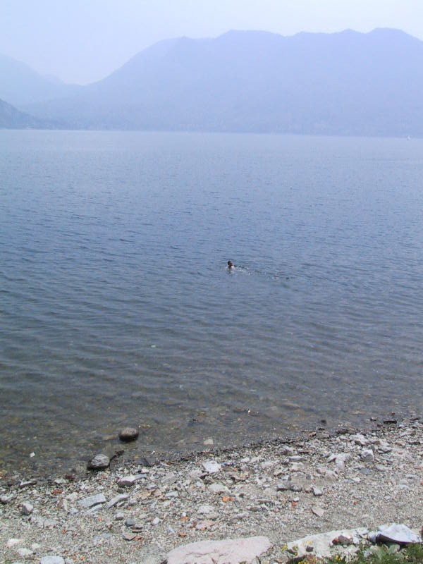127-2725 IMG
