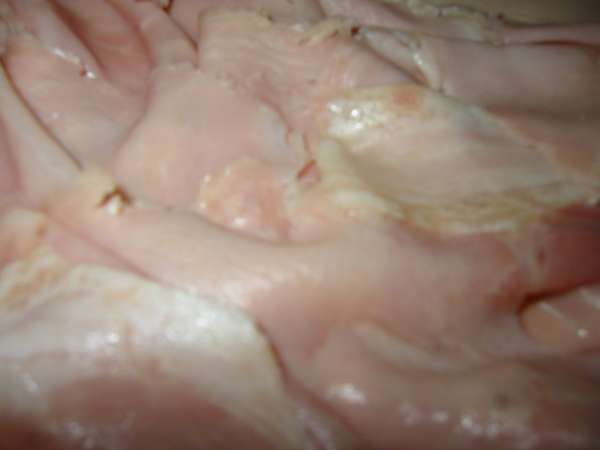 Img 4605