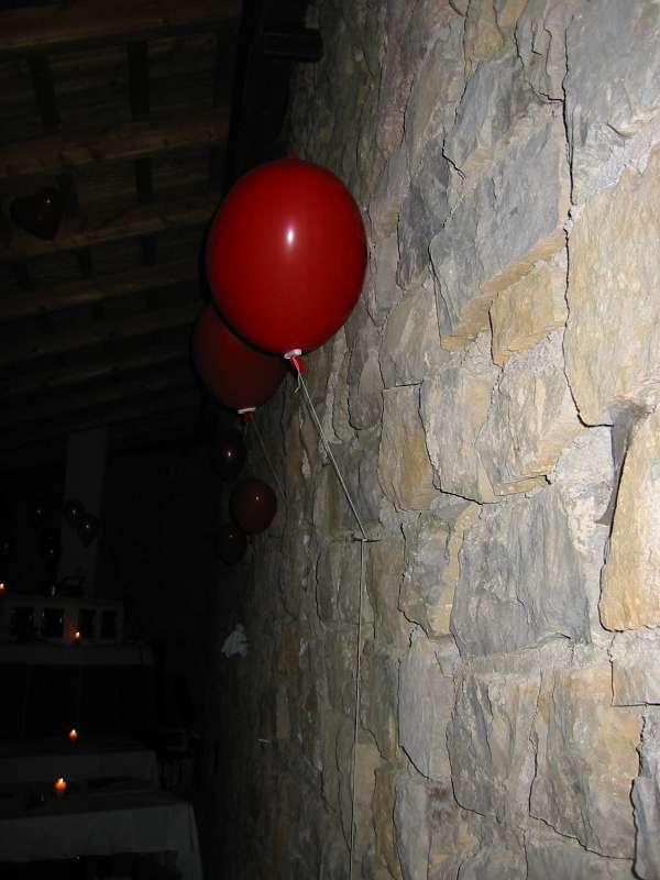 Img 4046