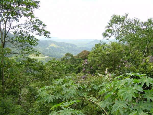 Dsc00082