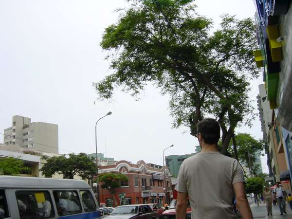 Dsc00115