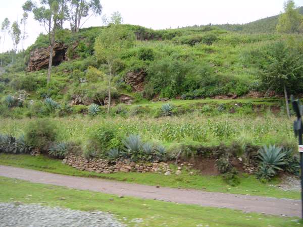 Dsc00227