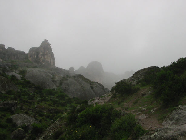 109-0908 IMG