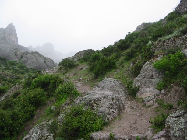 109-0909 IMG