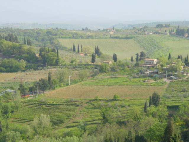 DSC00205