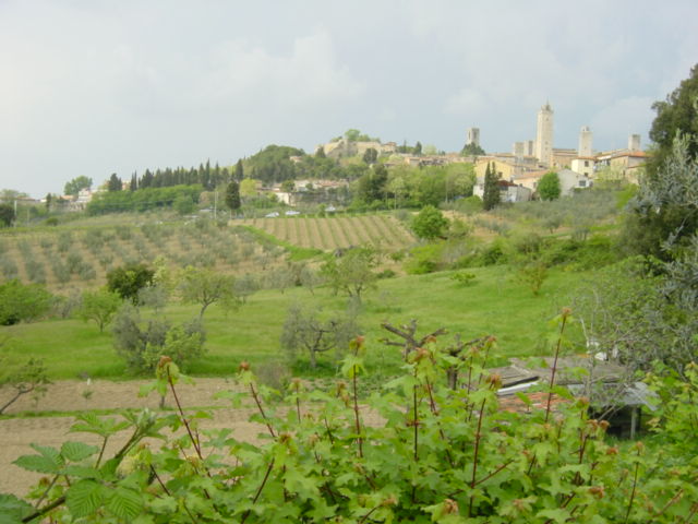 DSC00216