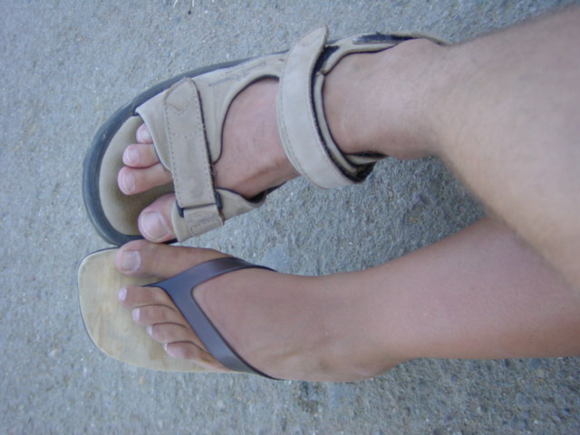 Pies