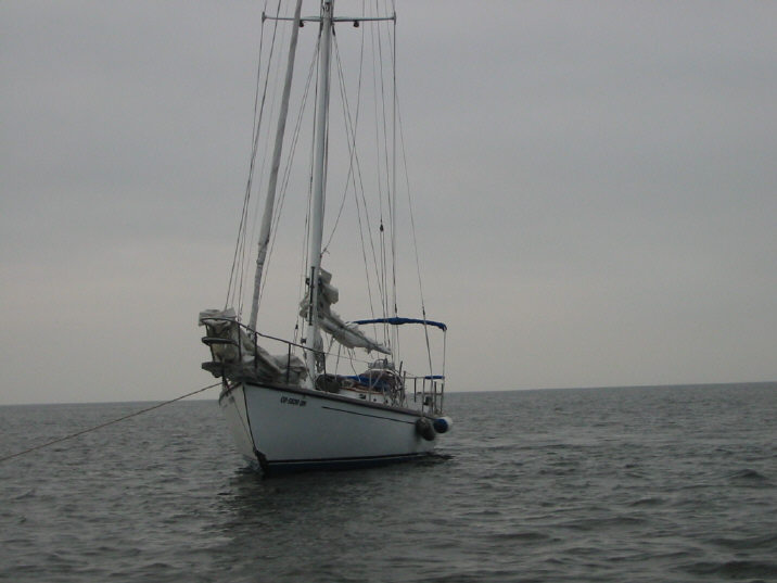 118-1826 IMG