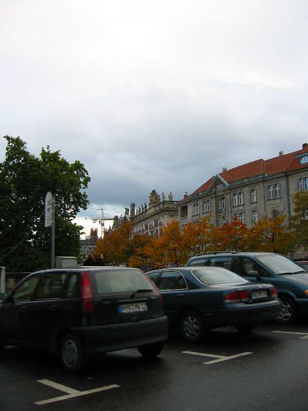 Img 4955