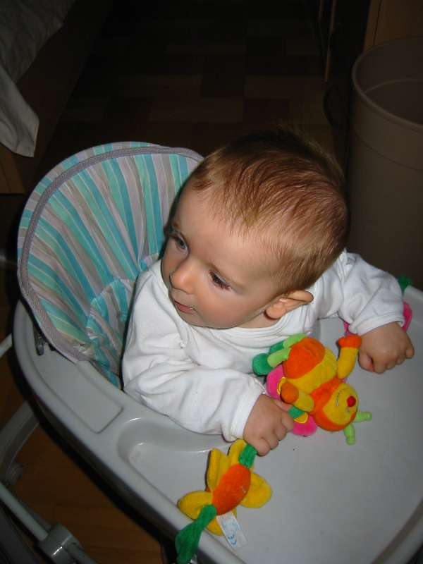 Img 4857