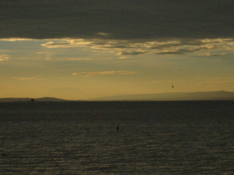 IMG 5058