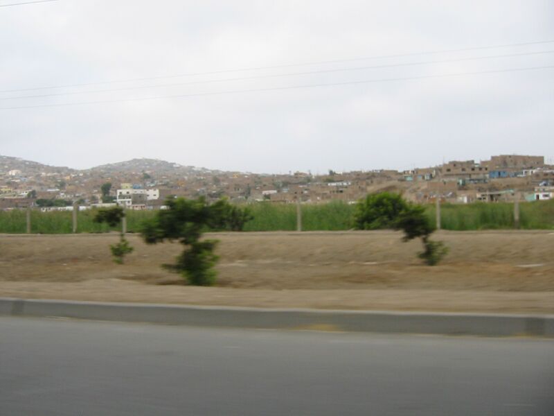 IMG 5252