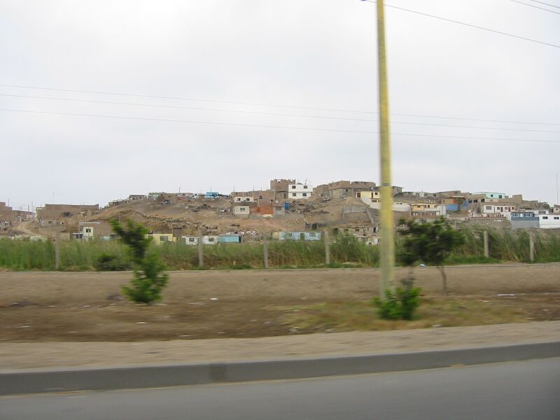 IMG 5253