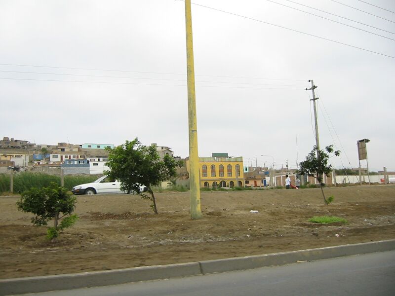 IMG 5254