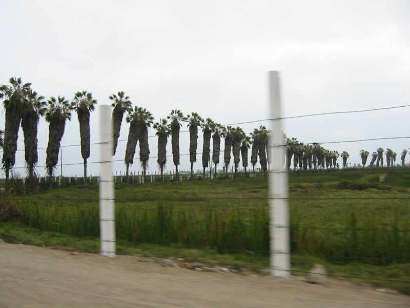 IMG 5257
