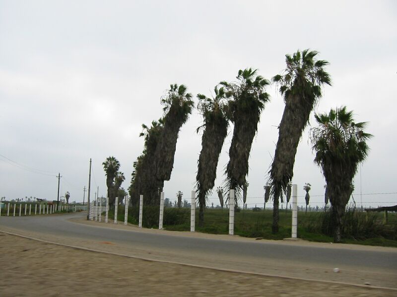 IMG 5258