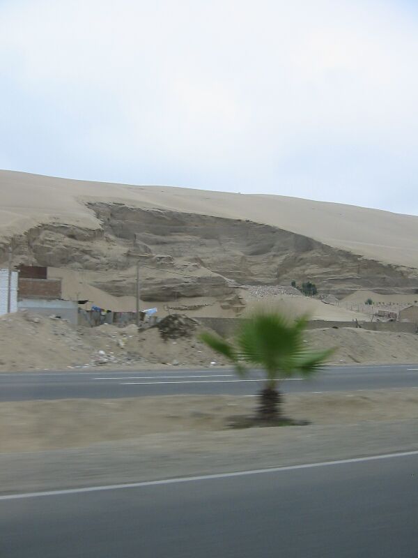 IMG 5259