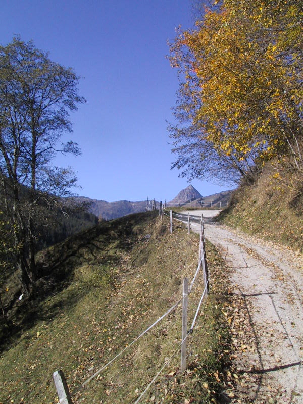 133-3389 IMG