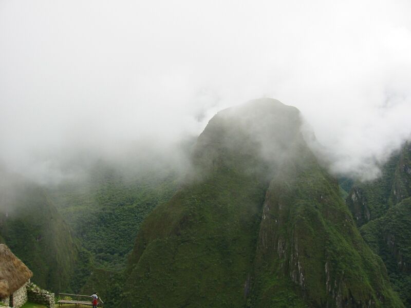 IMG 0689