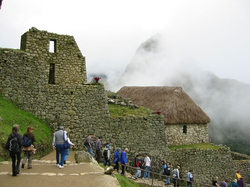 IMG 0690