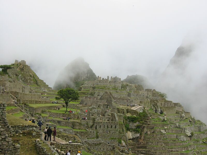 IMG 0692