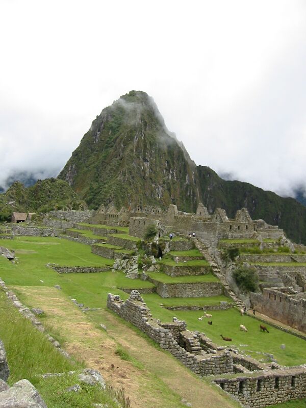 IMG 0699