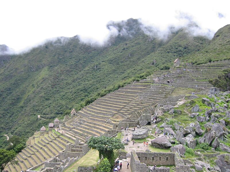 IMG 0708