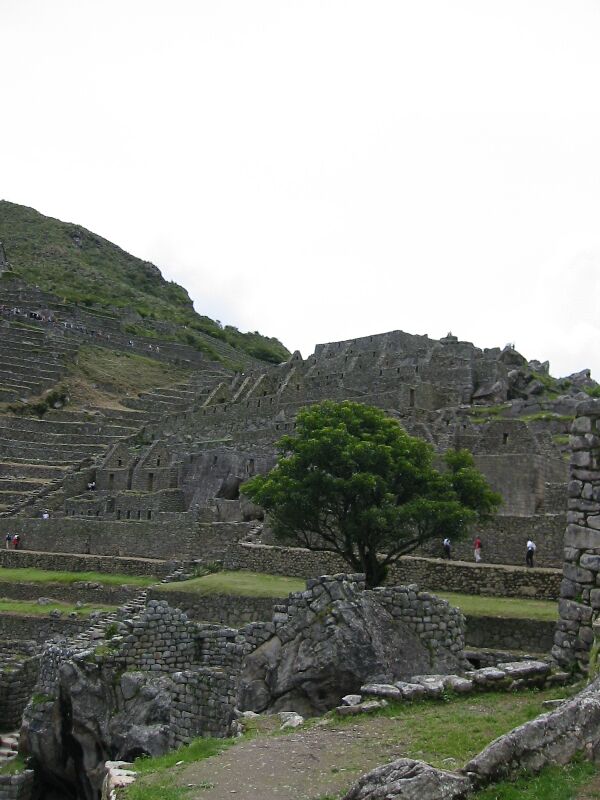 IMG 0718