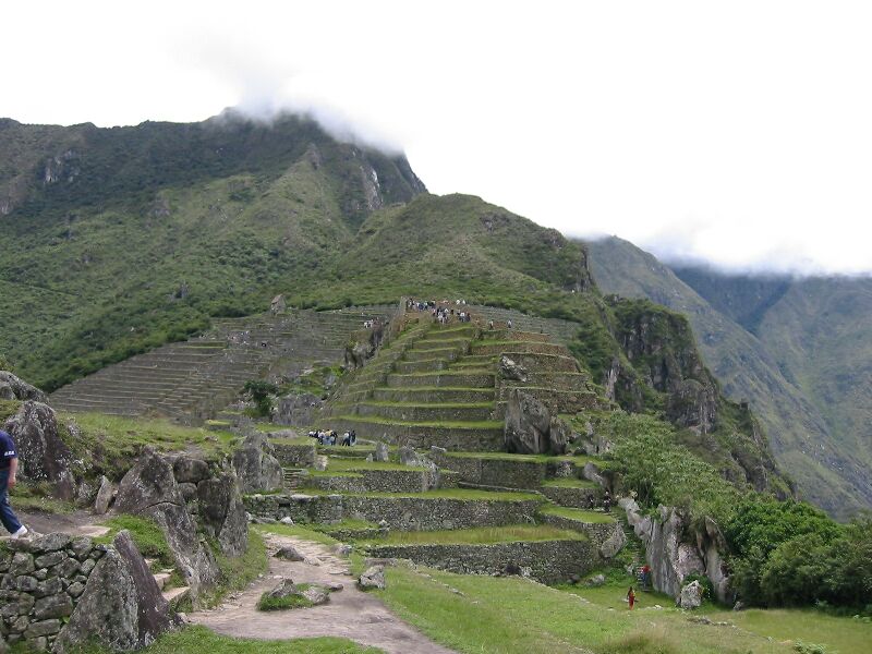 IMG 0719