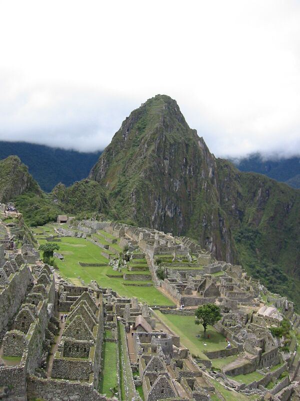 IMG 0726