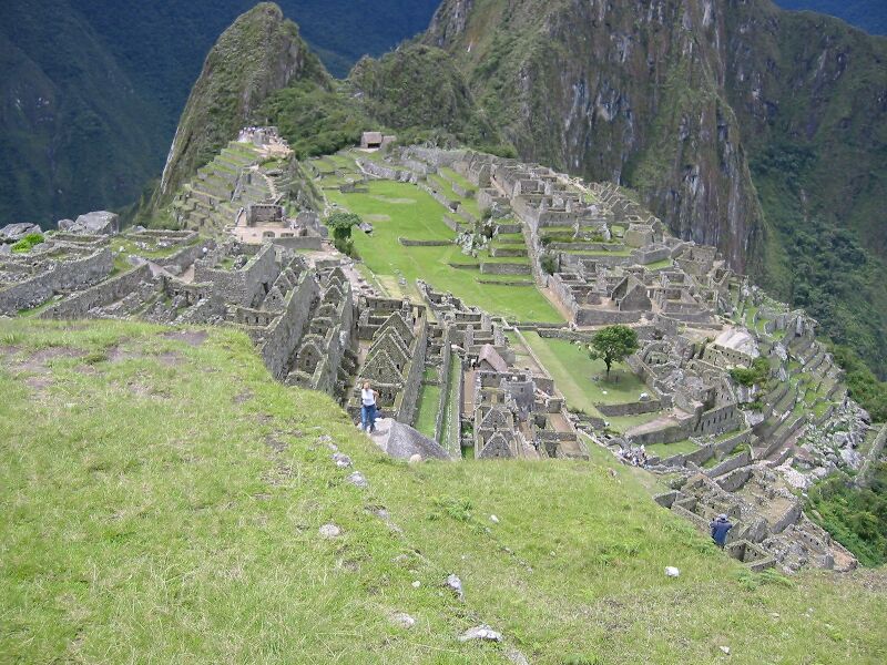 IMG 0729