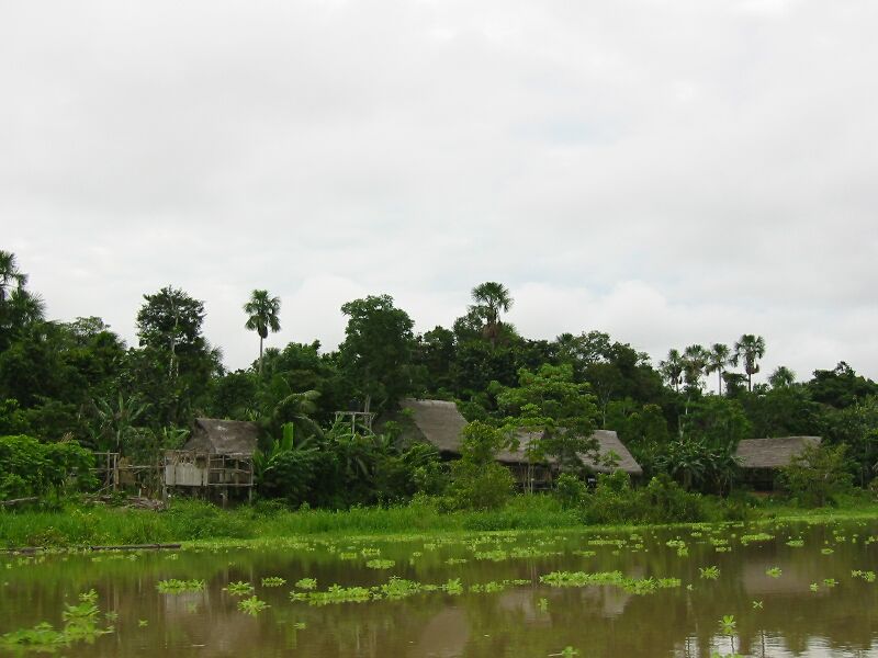 IMG 0622