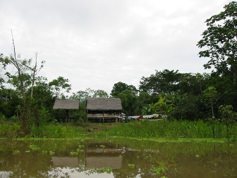 IMG 0623