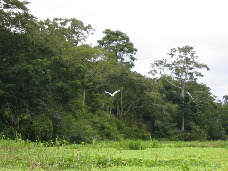 IMG 0628