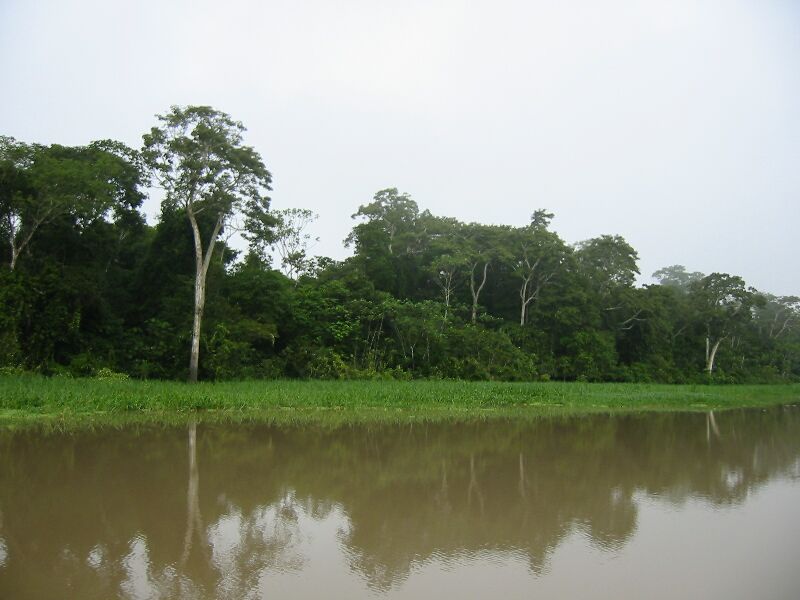 STA 0609