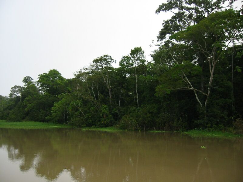 STD 0612