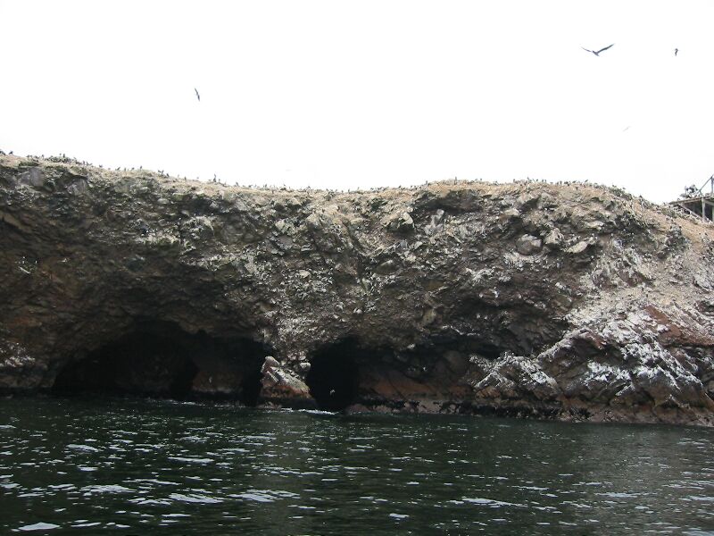 IMG 0572