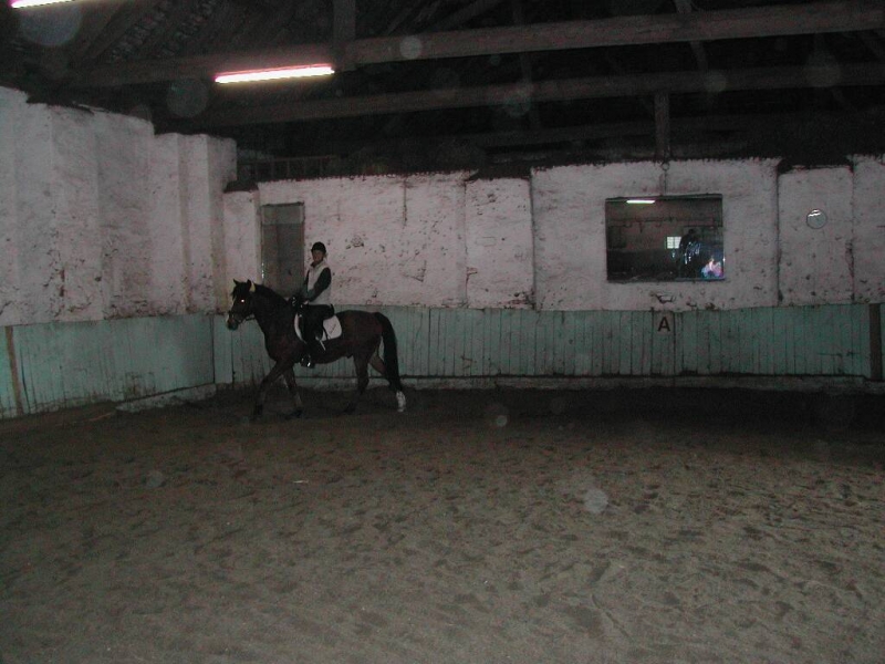 DSCN0204