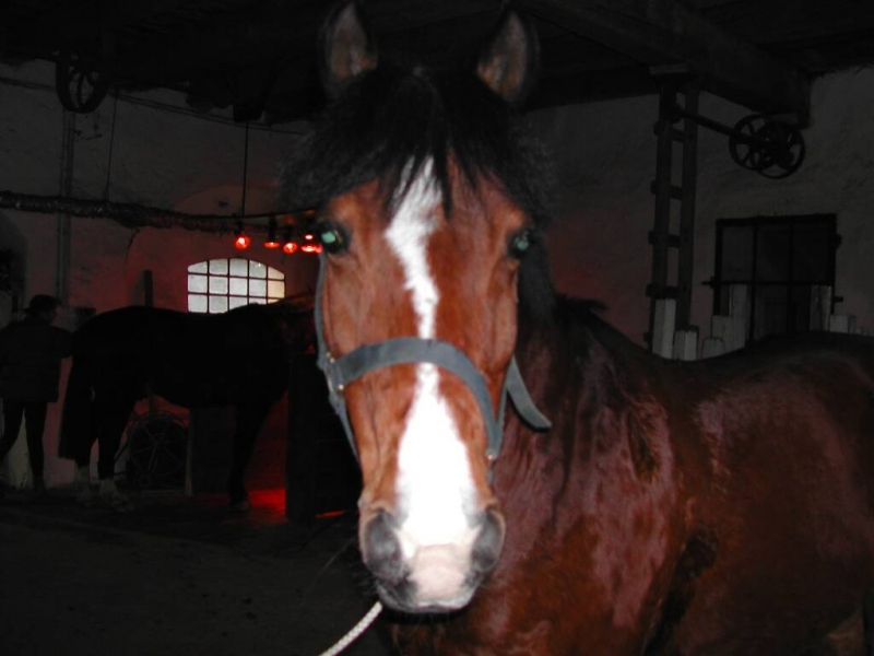 DSCN0207